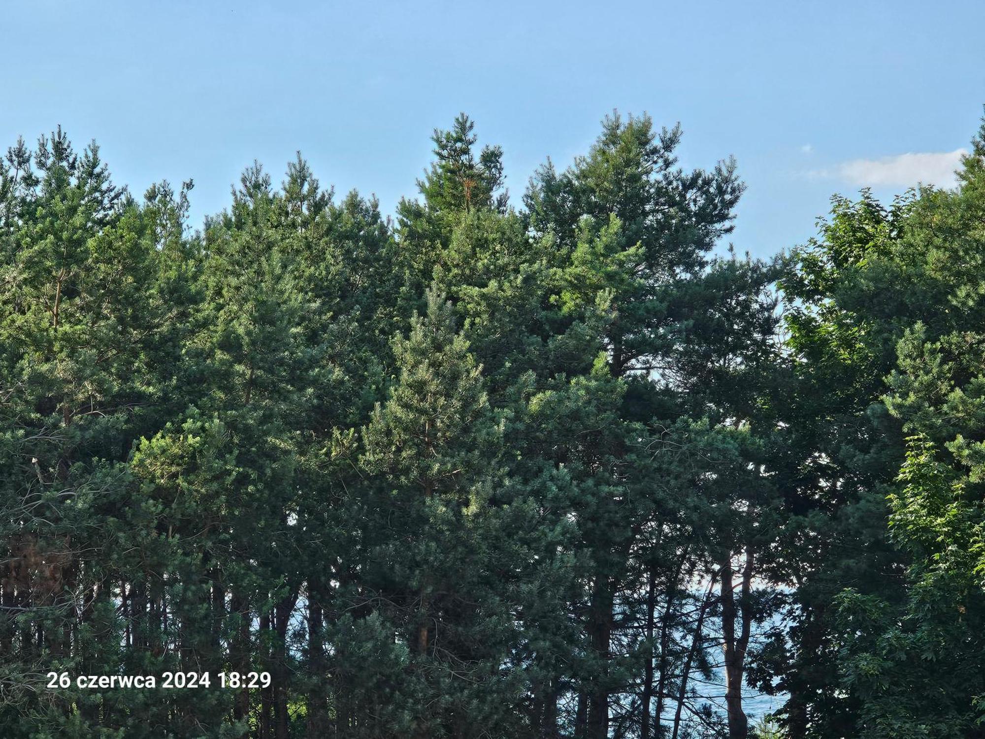 Ferienwohnung Renatka Przy Plazy Unieście Exterior foto