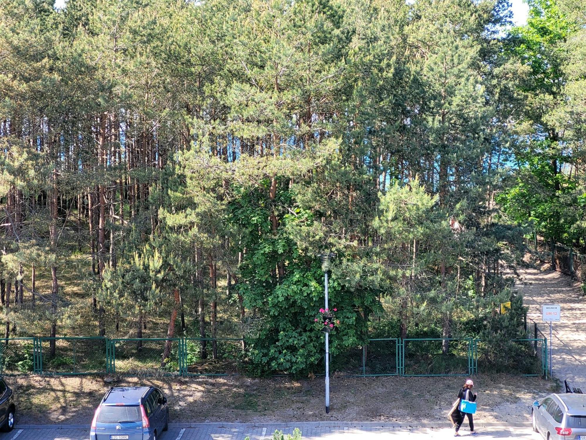 Ferienwohnung Renatka Przy Plazy Unieście Exterior foto